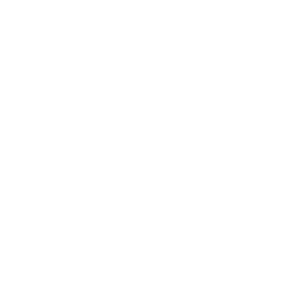 Google Calendar Icon